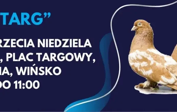 Ptasi Targ w Wińsku – najbliższy już 20 września