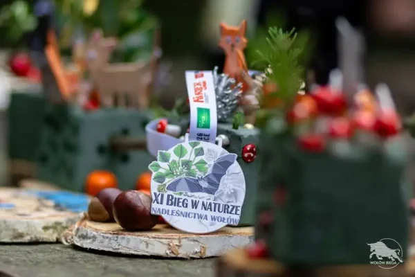 XI Bieg w Naturze Nadleśnictwa Wołów – sport, las i lokalna społeczność